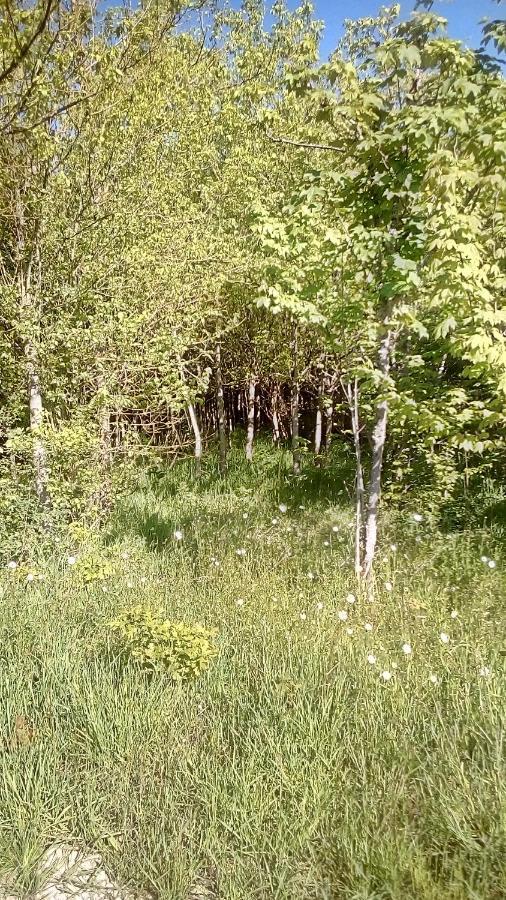 Domaine De Gentilly Saint-Maurice-lès-Charencey Exterior foto